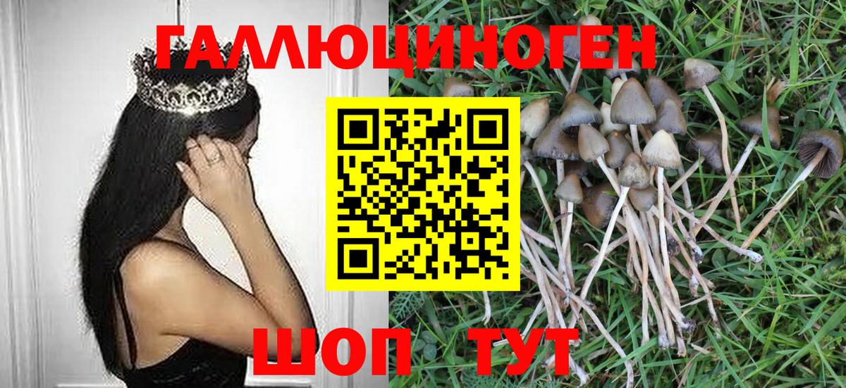 Галлюциногенные грибы Psilocybe  Галлюциногенные грибы мухоморы  Вход с VPN  Чапаевск 