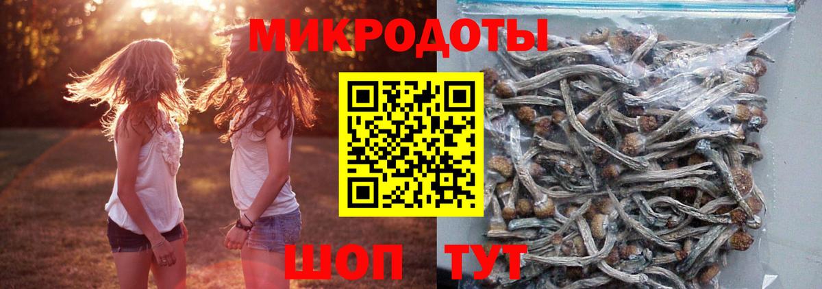 Галлюциногенные грибы прущие грибы Чапаевск